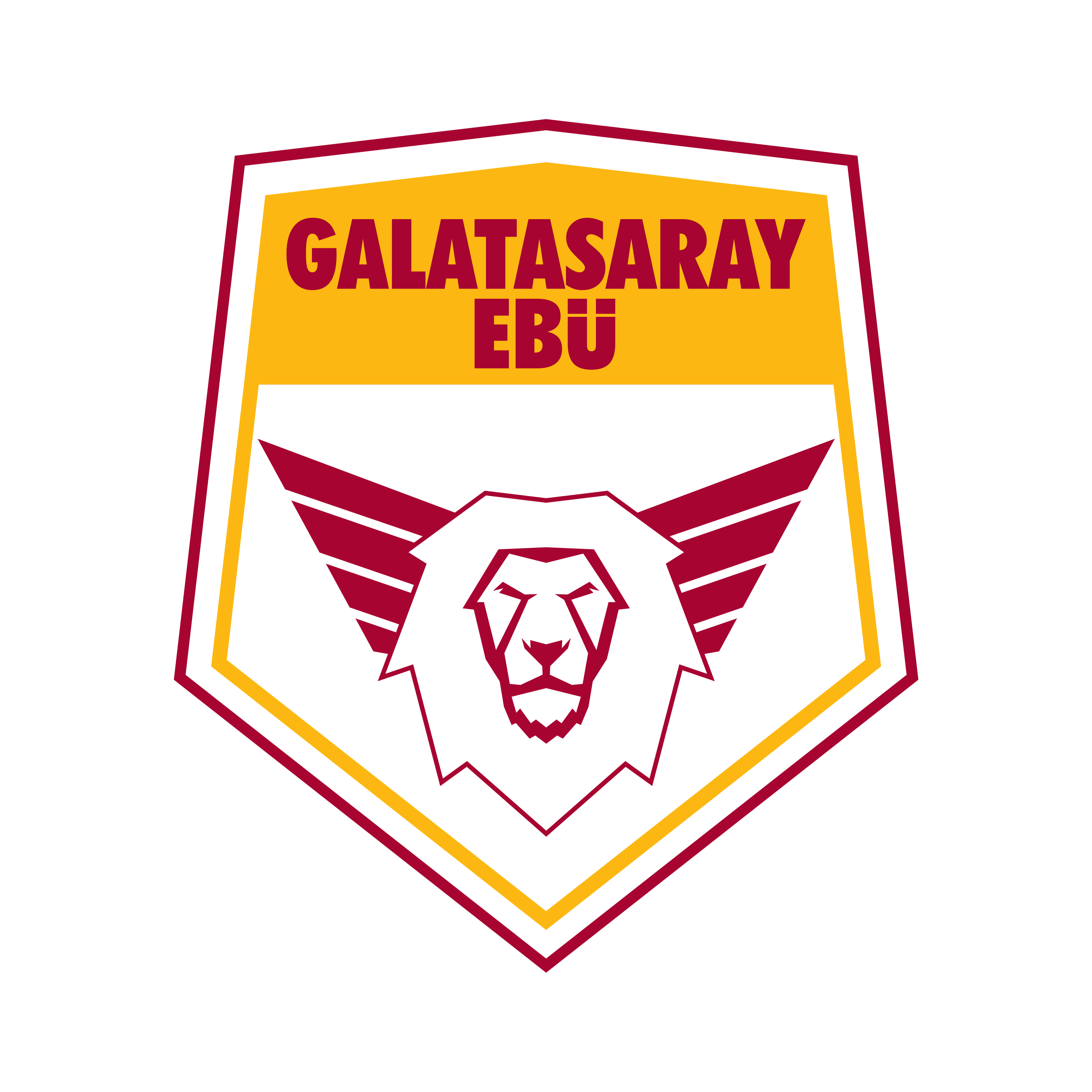 Etiler Galatasaray Futbol Okulu