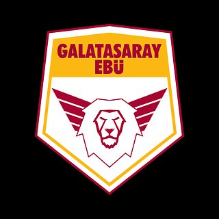 Bahçeşehir Galatasaray Spor Okulu