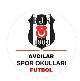 Avcılar Kafkas Kartalları