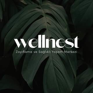 Wellnest Zayıflama ve Sağlıklı Yaşam Merkezi