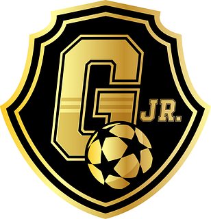 Galacticos Jr. Academy